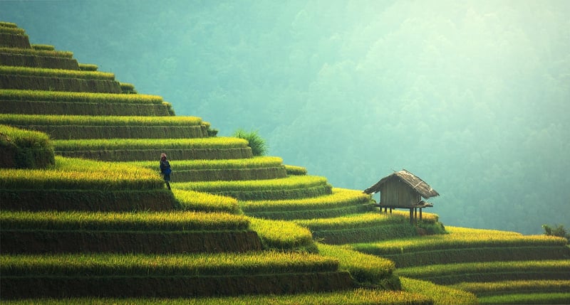 Sustainable Travel
